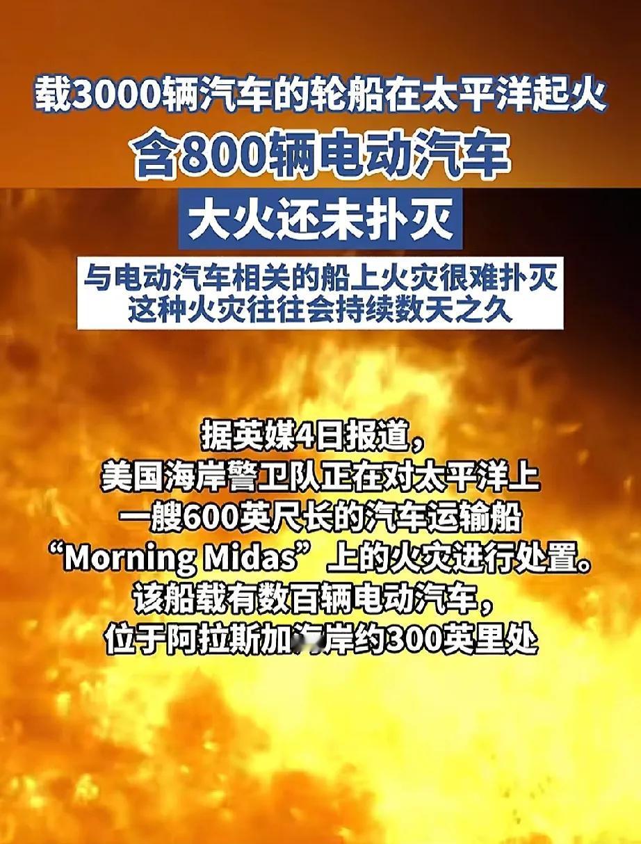 800辆电动车烧红太平洋！
据说车都是国内某电动车巨头的，一下子800辆被烧，保