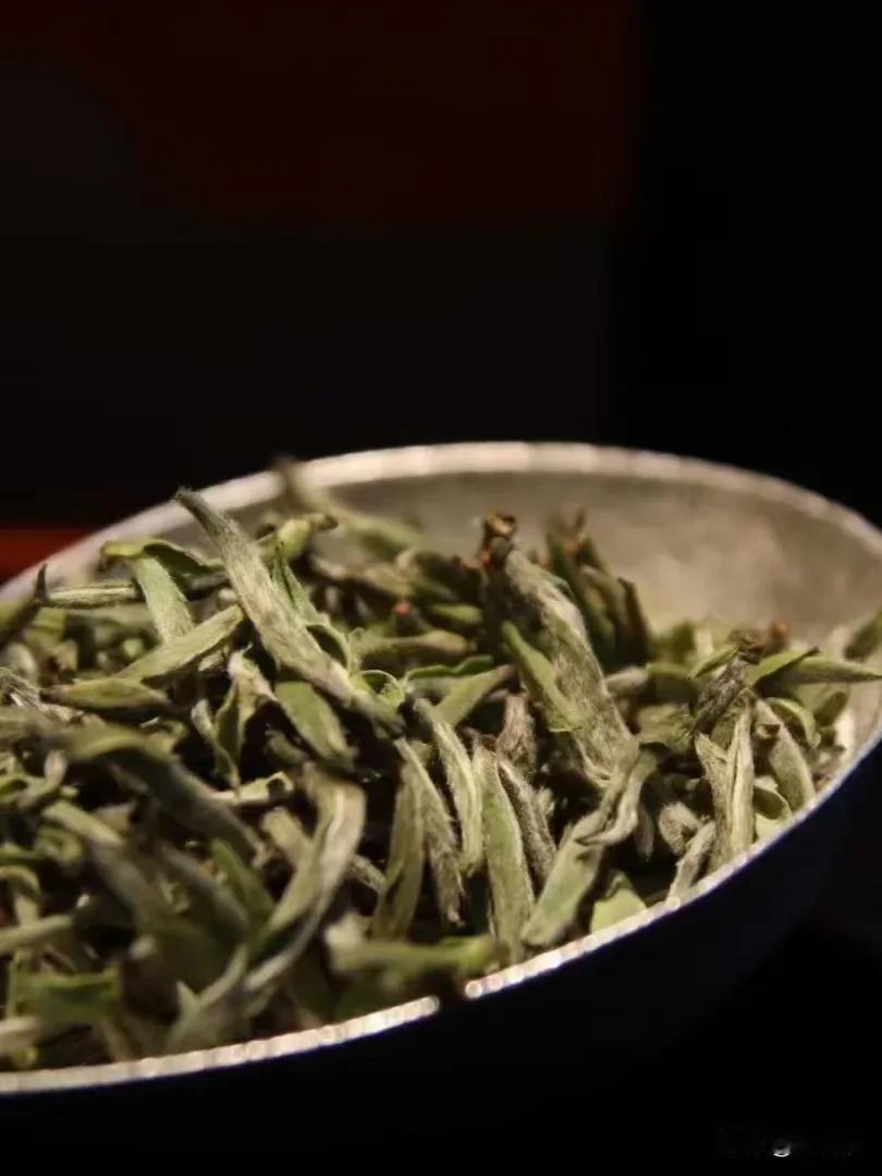 晨起，瀹茶。今日茶案之上，是一份来自福鼎核心产区的至鲜之味——2025荒野头采银