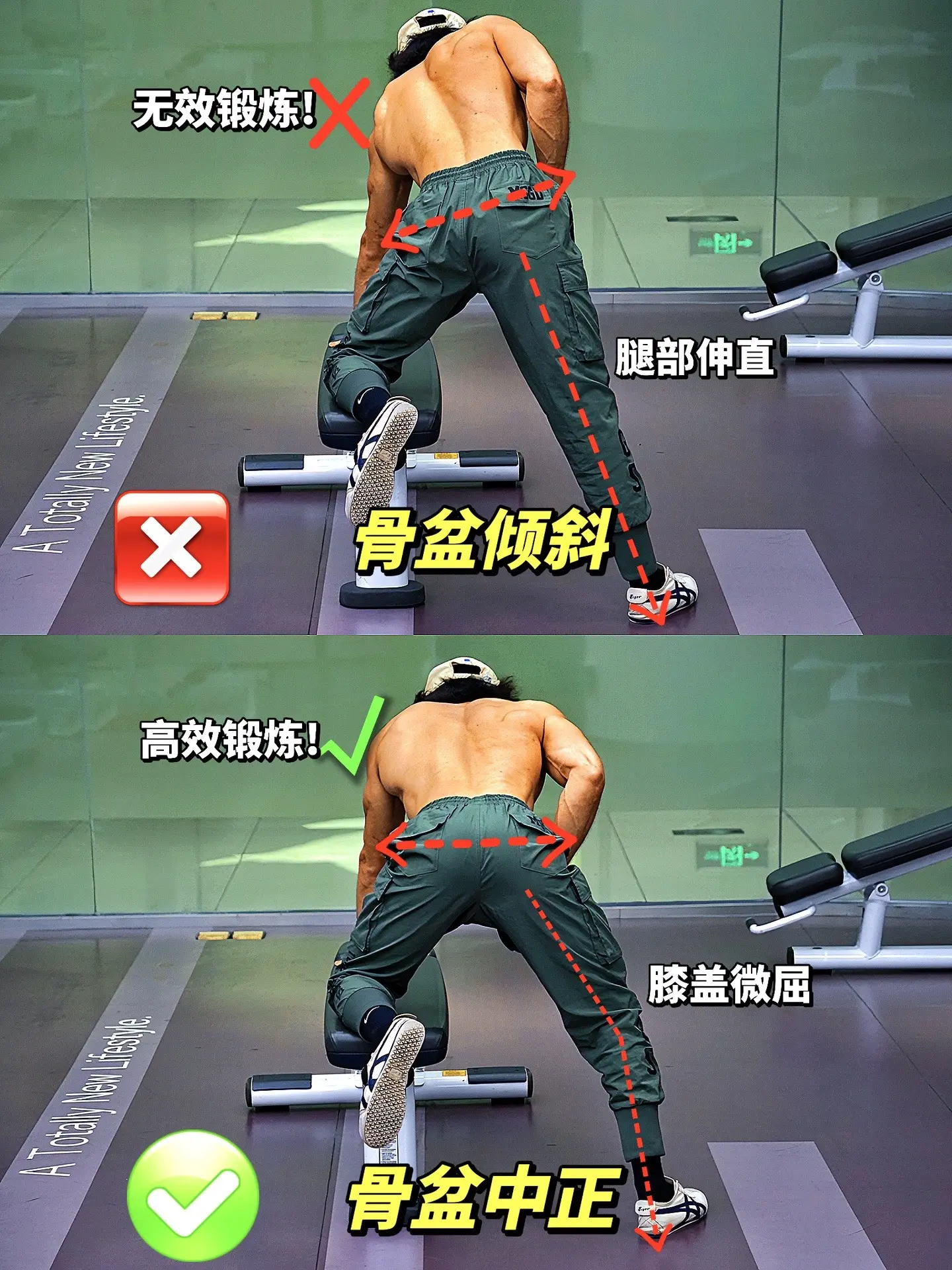 单臂哑铃划船正确姿势！俯身单臂哑铃划船背部没感觉？看看你都做对了嘛？