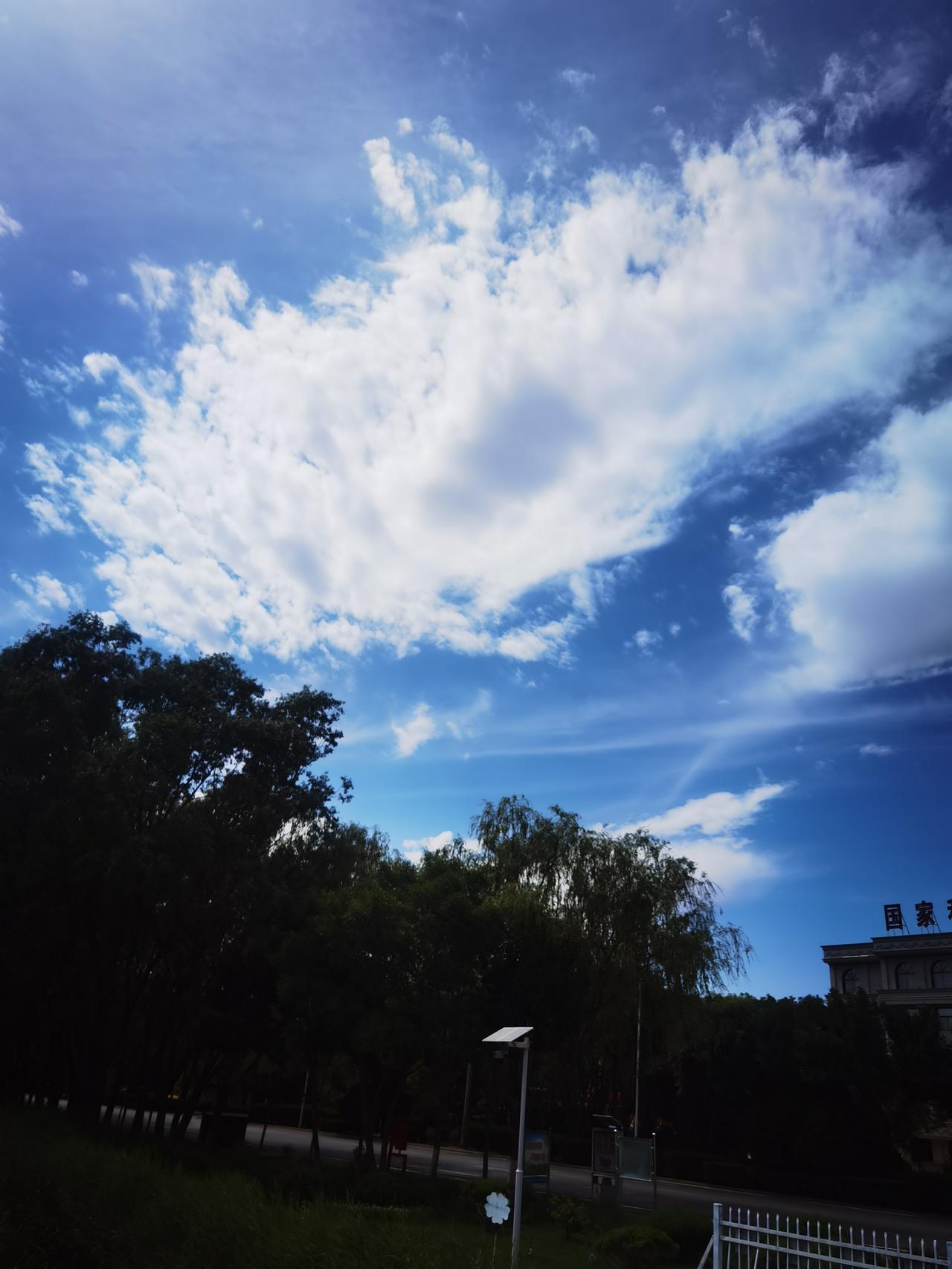 天空一朵云
就像一朵花
看着像莲花
神奇又美丽
