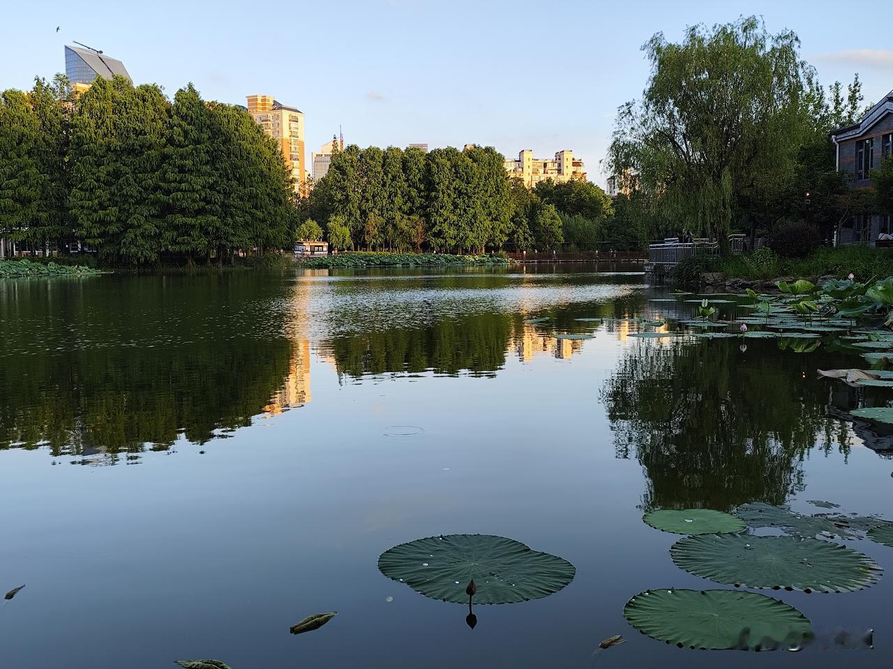 分享你随手拍的风景静谧的金莲湖在夕阳的余辉下显露出优美的诗情画意