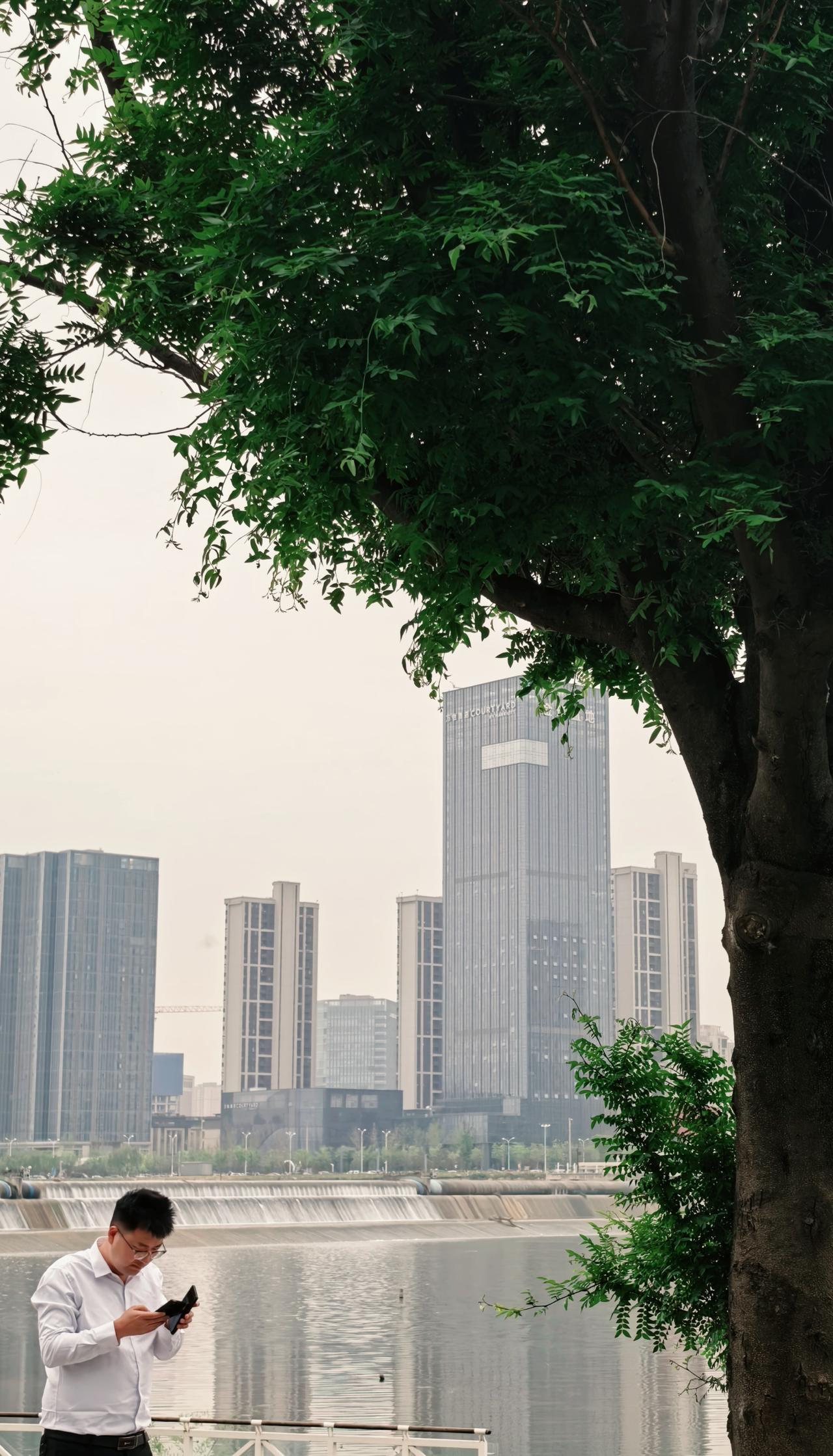 一半是烟火高楼，一半是诗情画意。