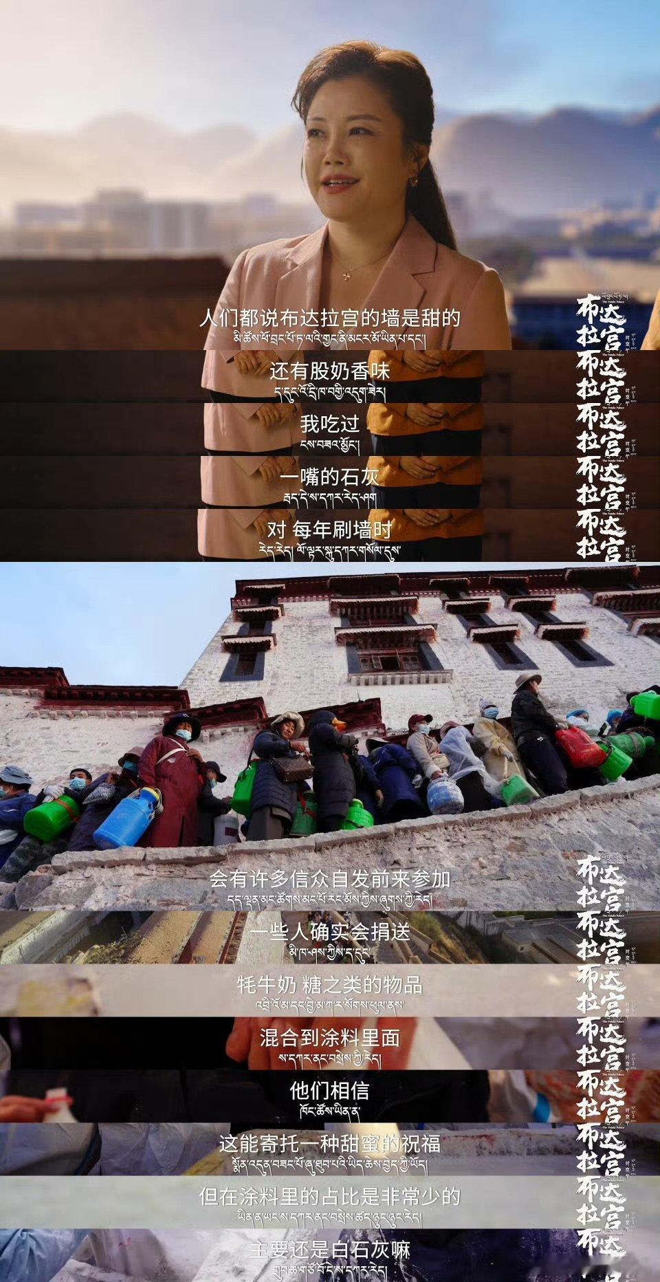 布达拉宫奶香味白墙太勾人了 布达拉宫这白墙也太绝了吧！奶呼呼的颜色还带着奶香，牛