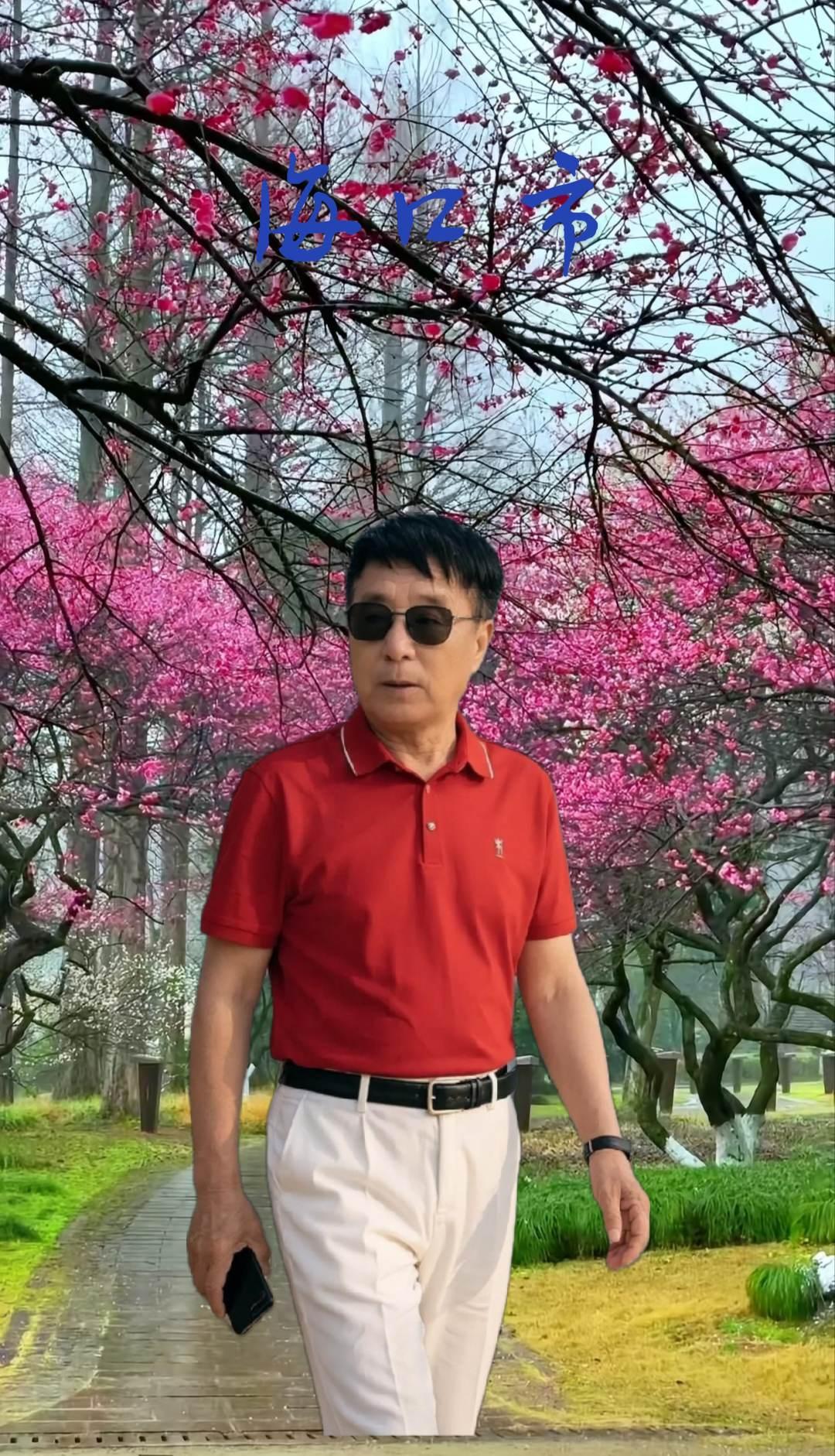 最美浪漫樱花道，一首，人生奔波到底为了谁？献给大家请欣赏欣赏一一