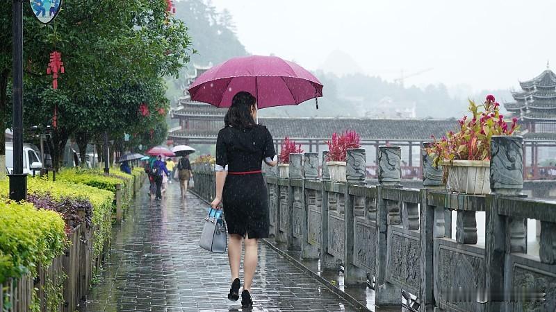 雨淋湿了谁的衣衫
打湿了谁的心情
谁在风雨里默默独行
为着一个
似乎有些渺茫的梦