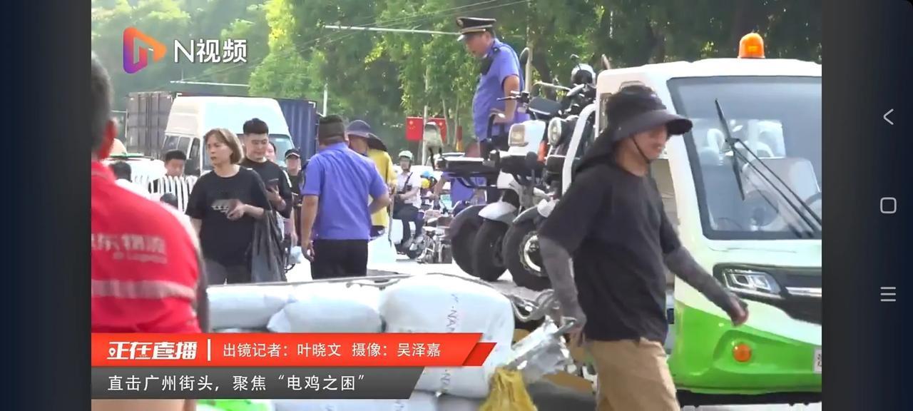  媒体直播先烈中路现场清理电鸡！这是一个大型批发中心附近路段，电鸡密密麻麻躺在马