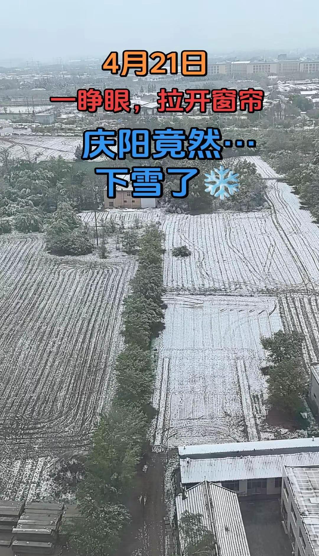 我的天！早上一睁眼，还在担心是否下雨，结果拉开窗帘…整个惊呆😳，以为我眼花了?