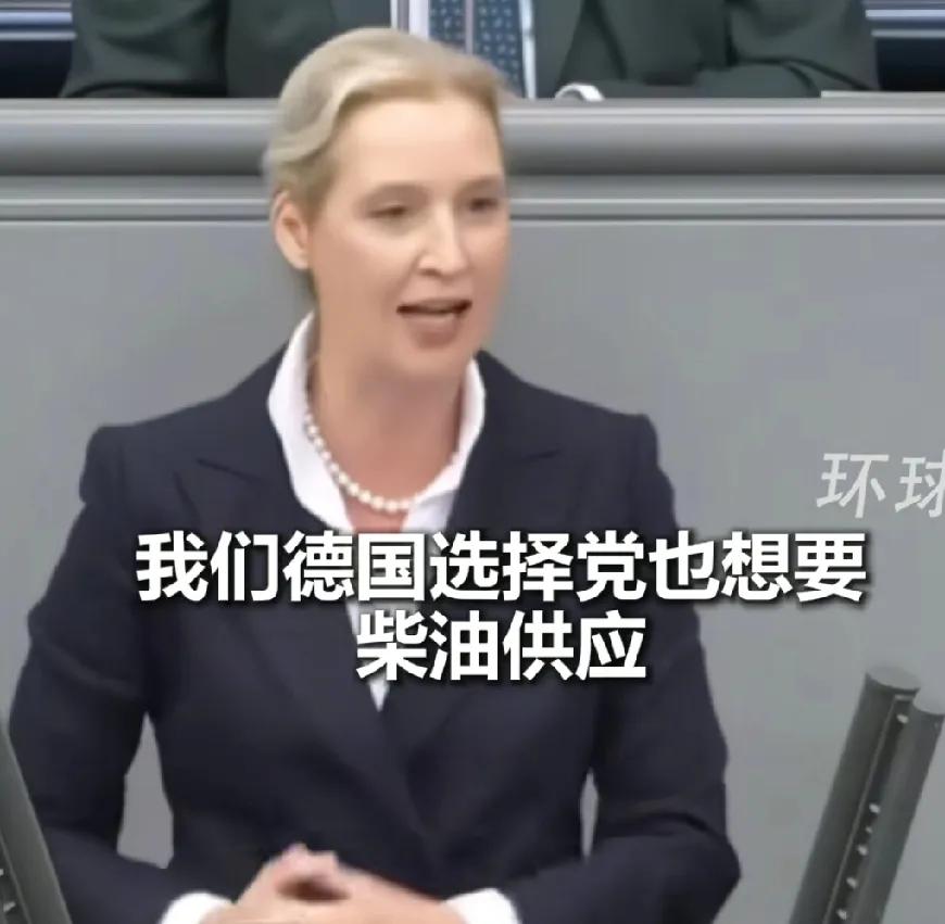 就在美和俄就柴油达成合作后，终于有欧领导人站出来表示他们也想要这份廉价能源了，魏