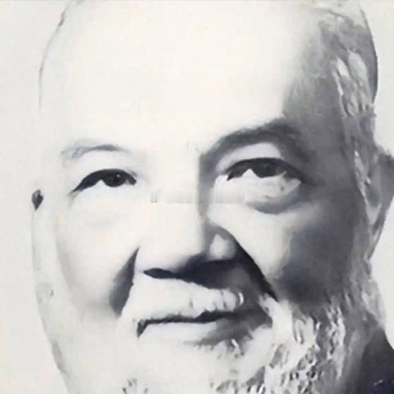不是讲实事求是么？《谭平山是南昌起义最高政治领袖。可他实际作用与历史地位，长期被