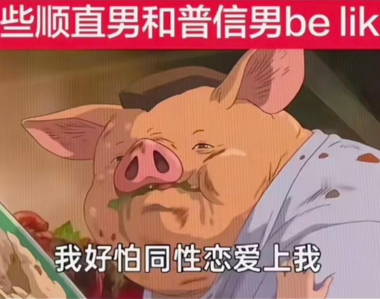 分享图片 ​​​