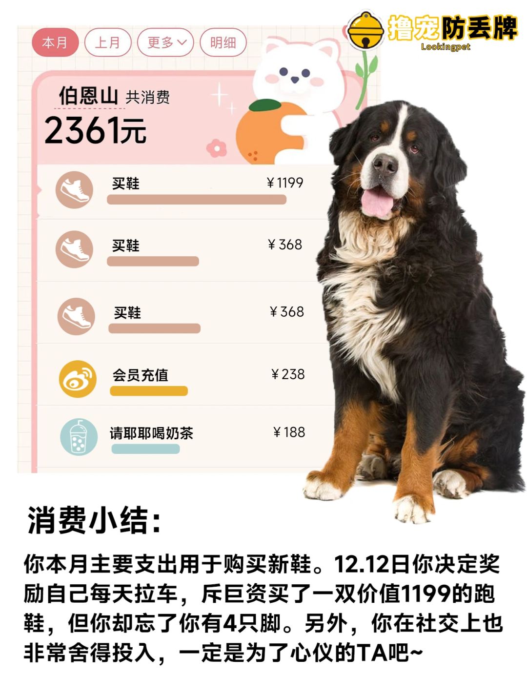 不同狗狗的月消费账单🧾