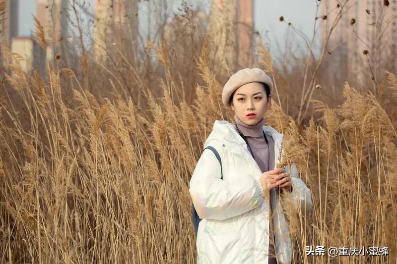 如人养宠物伤人是处罚宠物还是人? 宠物伤人肯定是处罚人啊，宠物又不懂法。
新修订