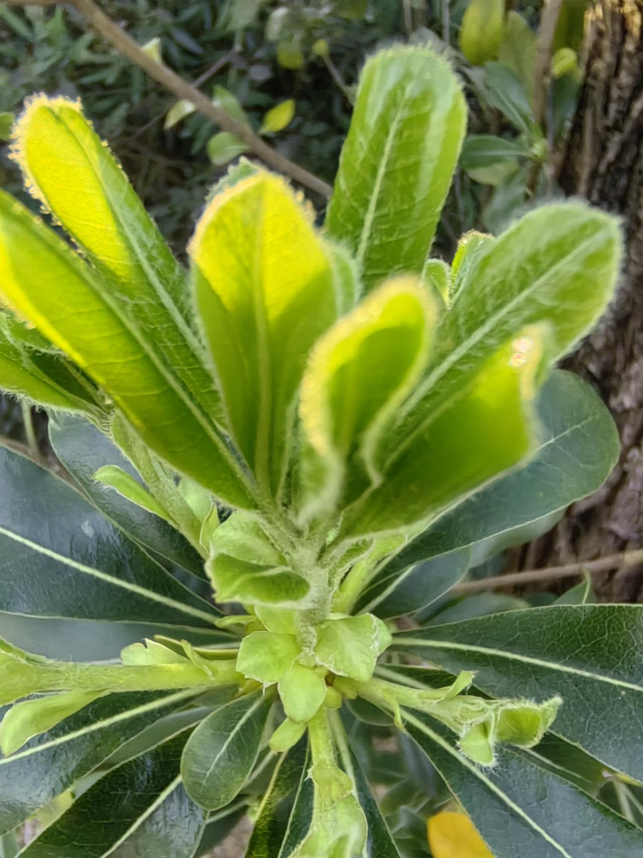 最近写头条，主打就是找点事干，每天下班后，也没啥事。
孩子大了，随她去。
她有自