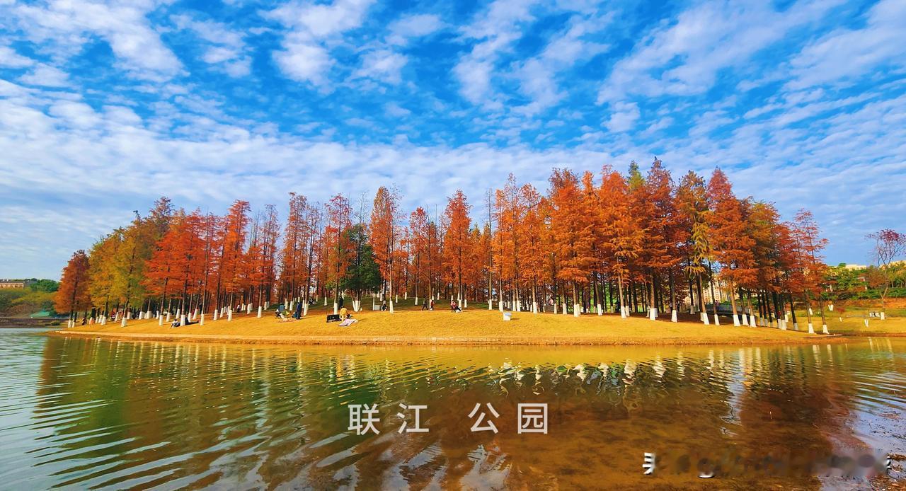 联江公园
     长沙
2024/12/14