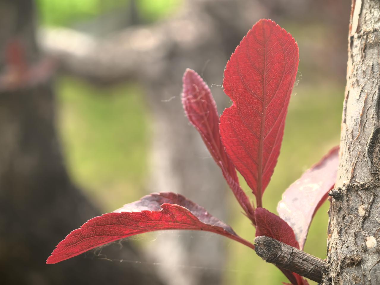 It is precisely every choice you make th