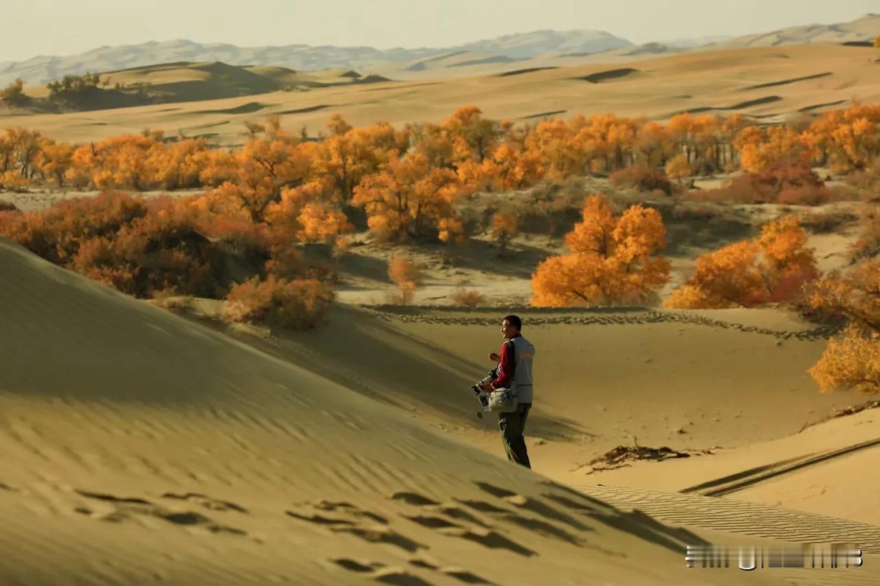 《穿越沙海，赴时光之约》
（原创首发）陋室听秋/文
 
我沿着沙海的边际踽踽独行