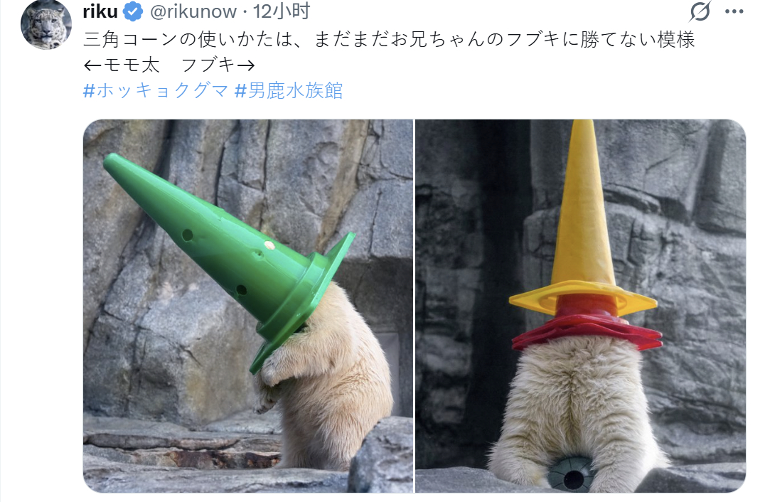 北极熊 关于丰容玩具三角锥的用法.....感觉还是比不上哥哥套2个的水平黄金罗盘
