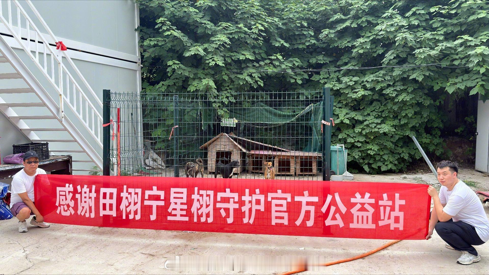 田栩宁 田栩宁粉丝柠檬水助力涿州流浪动物公益项目，用实际行动关爱流浪动物，柠檬水