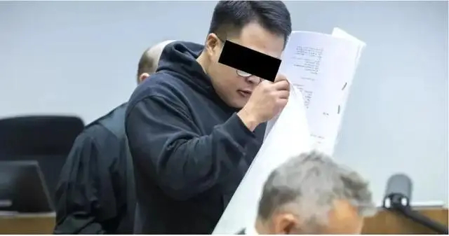 【德国华人迷奸案细节披露：作案者均为高学历精英，主犯住所查出17万个儿童色情文件