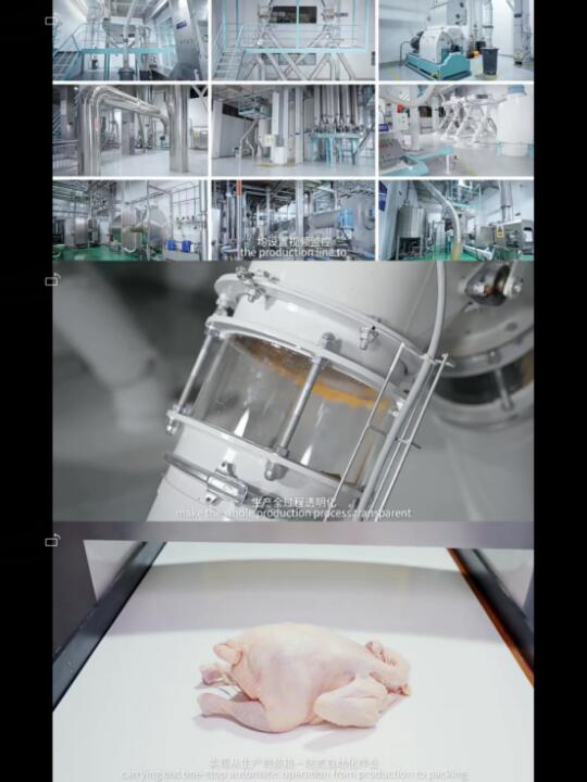 听我的，猫粮还得选这种靠谱的