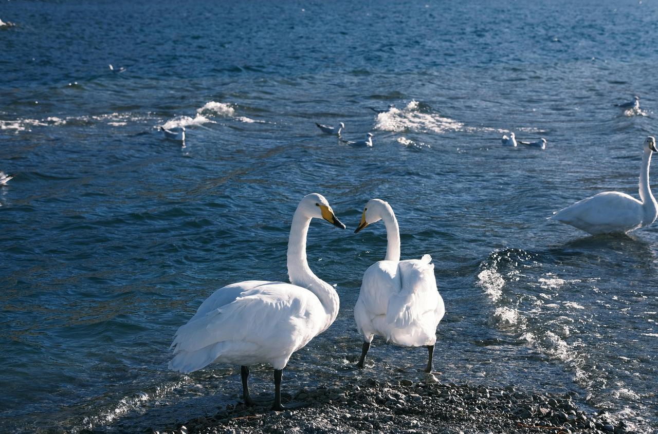为什么科学无法解释飞机能够飞起来？
时至今日，科学也无法完全解释能飞机能够飞起来