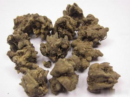 #每天一味中草药# 猫爪草，就这样一株不起眼的野草可以同时治好甲状腺结节、淋巴结