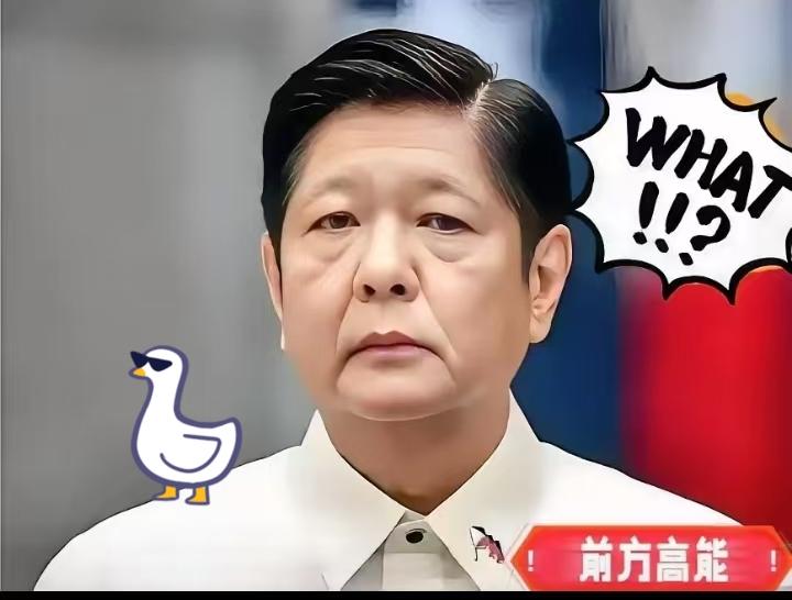 快报，快报
菲律宾正式宣布

11月9日，菲律宾国家减灾委传来揪心消息，台风“海