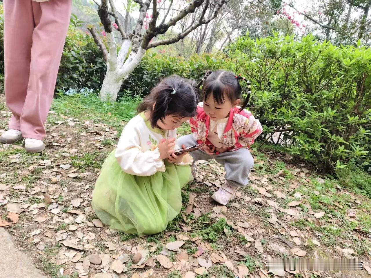 春日生活打卡季春天没有方向，春天只顾开花