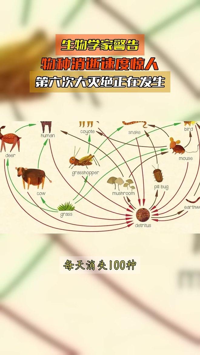 全国昆虫正在以惊人速度灭绝，一场无声危机，正在偷走我们的未来

你有没有发现，如