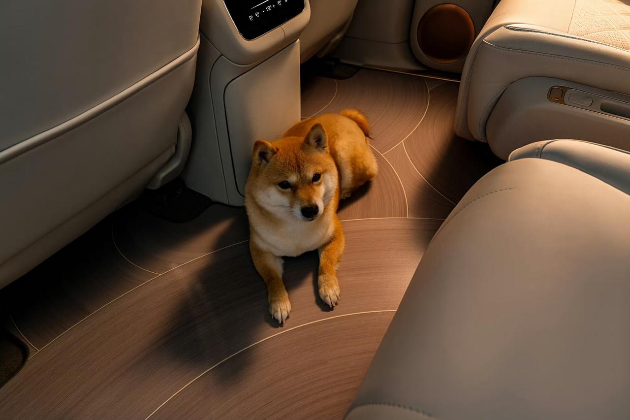 往年春节开车回家，路上车多路况复杂，各种状况让人头大。
但今年开着智己，它的智能