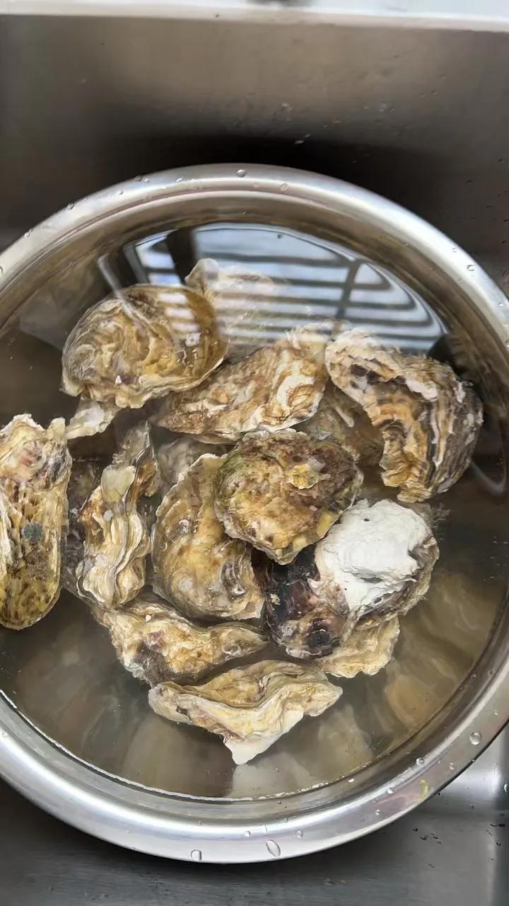 每天一惊喜，与辉同行山东行第二单货生蚝到货！

   收包裹的快乐，每天一惊喜啊