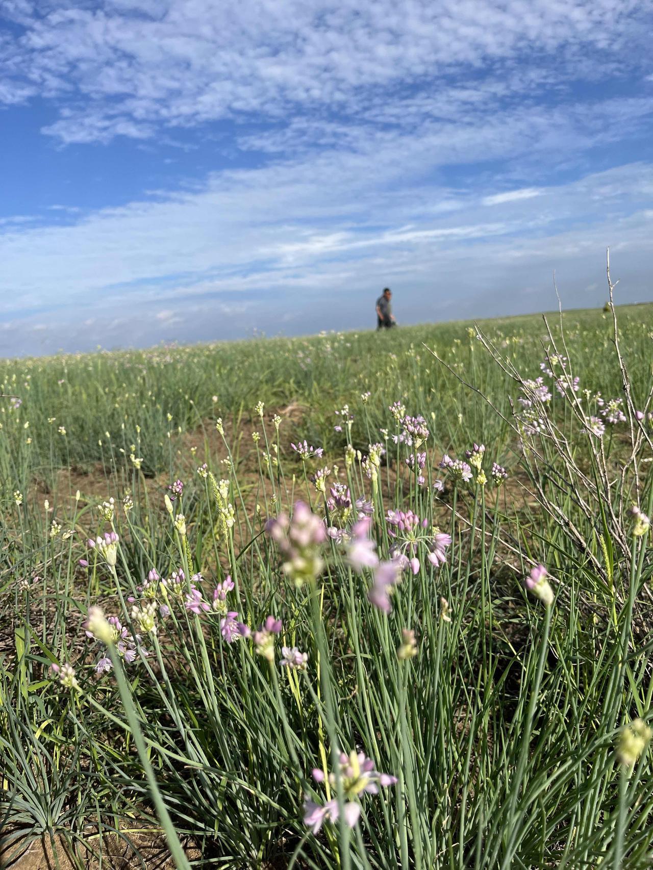 有一种父母，你累死他未必心疼

1、朋友的父亲86了，母亲83，能动能吃，饭量比