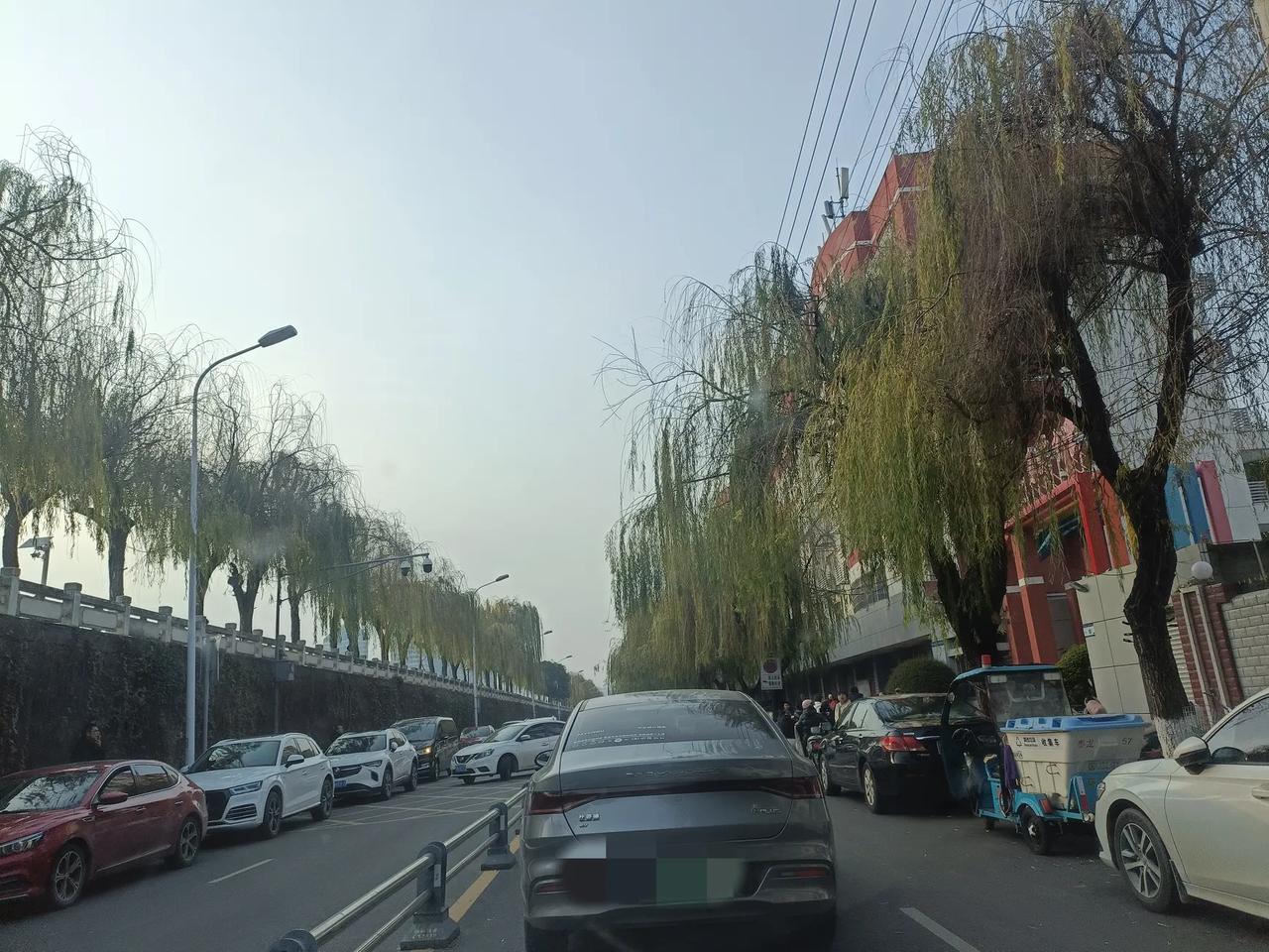 芙蓉溪边，柳树在冬日依然翠绿，细丝在晚风中微动。学校门口的街道两旁，接孩子放周假