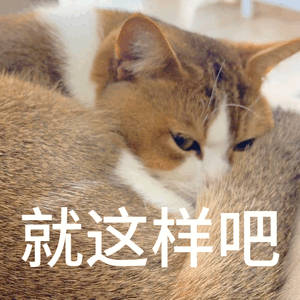 终于明白职场没有朋友的含义了你以为是双向吐槽，结果转头就成了别人嘴里的素材，你以
