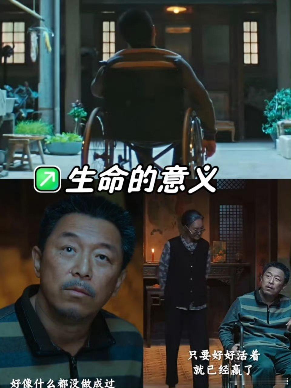 生命的重量不是由成就来衡量的 告别内耗看这部！《浪浪人生》说“做点喜欢的就好”，