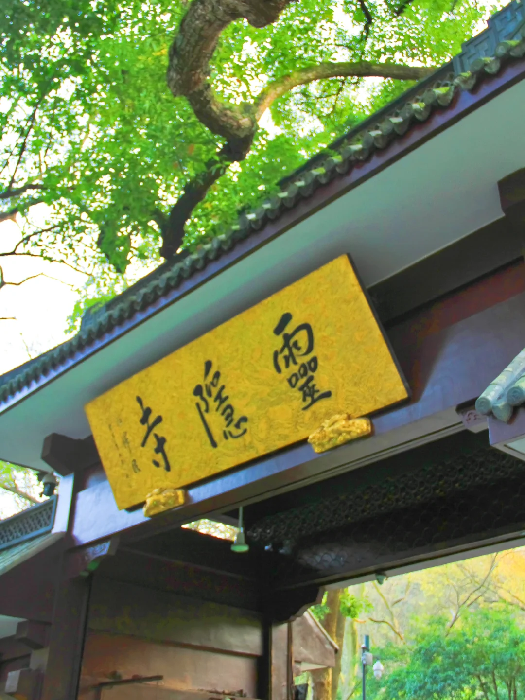 12月灵隐寺这两天免门票！建议收藏‼️‼