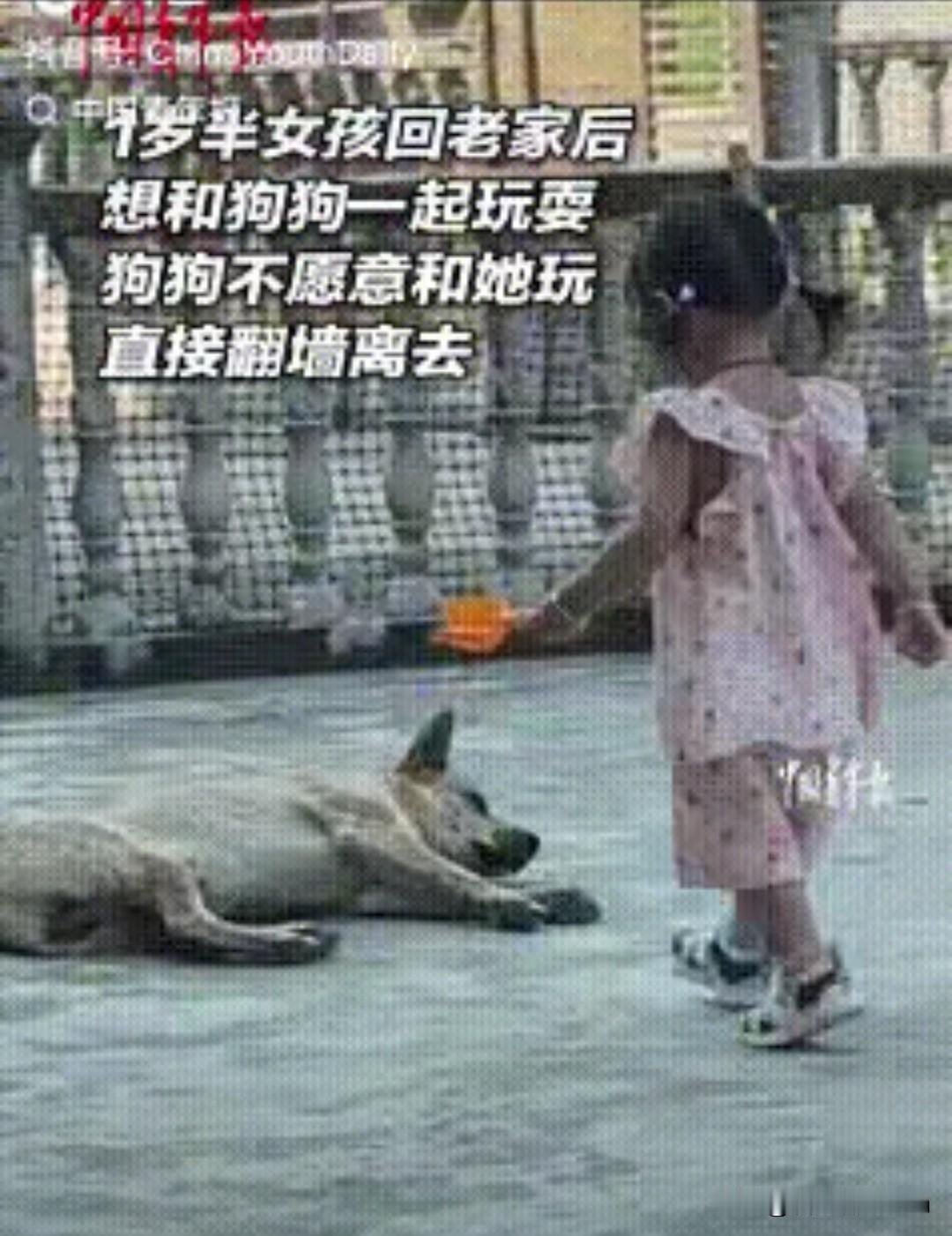 “万万没想到！”江西九江，一岁半女孩回老家，看见院中熟睡的狗子，就跑过去想和狗子