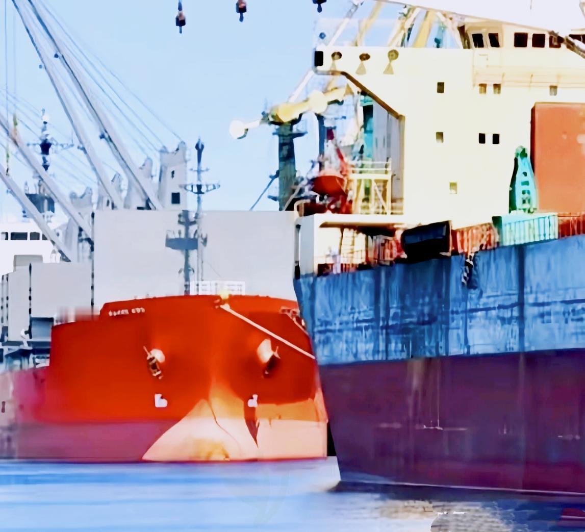 一艘满载6.9万吨巴西大豆运到家门口，被我们原路退回！

拒收巴西问题大豆！
5