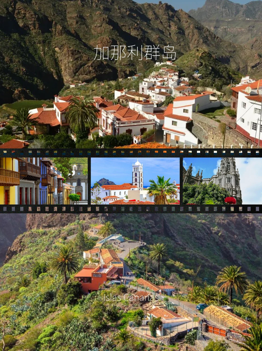 在加那利群岛：火山之上，生活缓慢生长