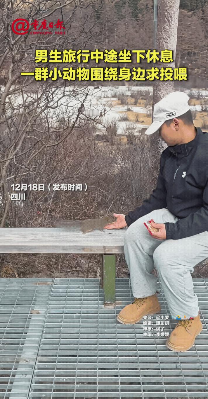 解释不清了！四川，一名男子旅行走累了坐下休息，刚想掏出零食垫垫肚子，就被一群不速