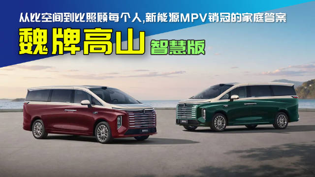 从比空间到比照顾每个人，新能源MPV销冠的家庭答案!#魏牌##魏牌高山##魏牌高山mpv##魏牌全新