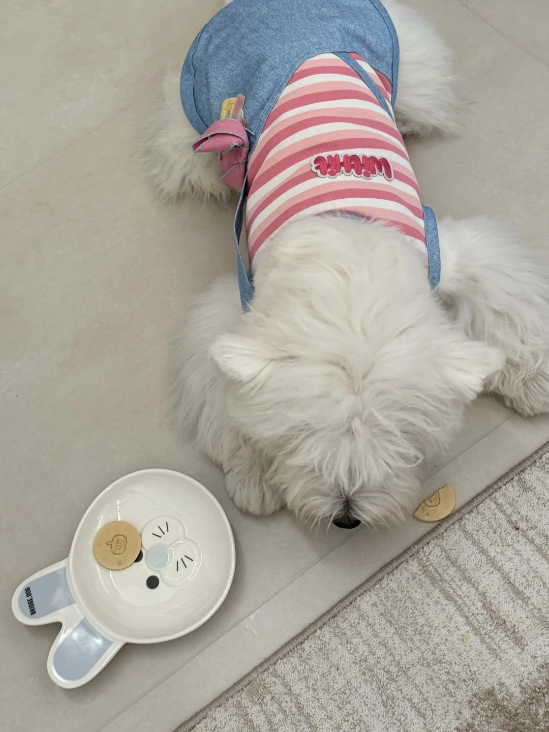 今日家庭最优秀成员：奶福