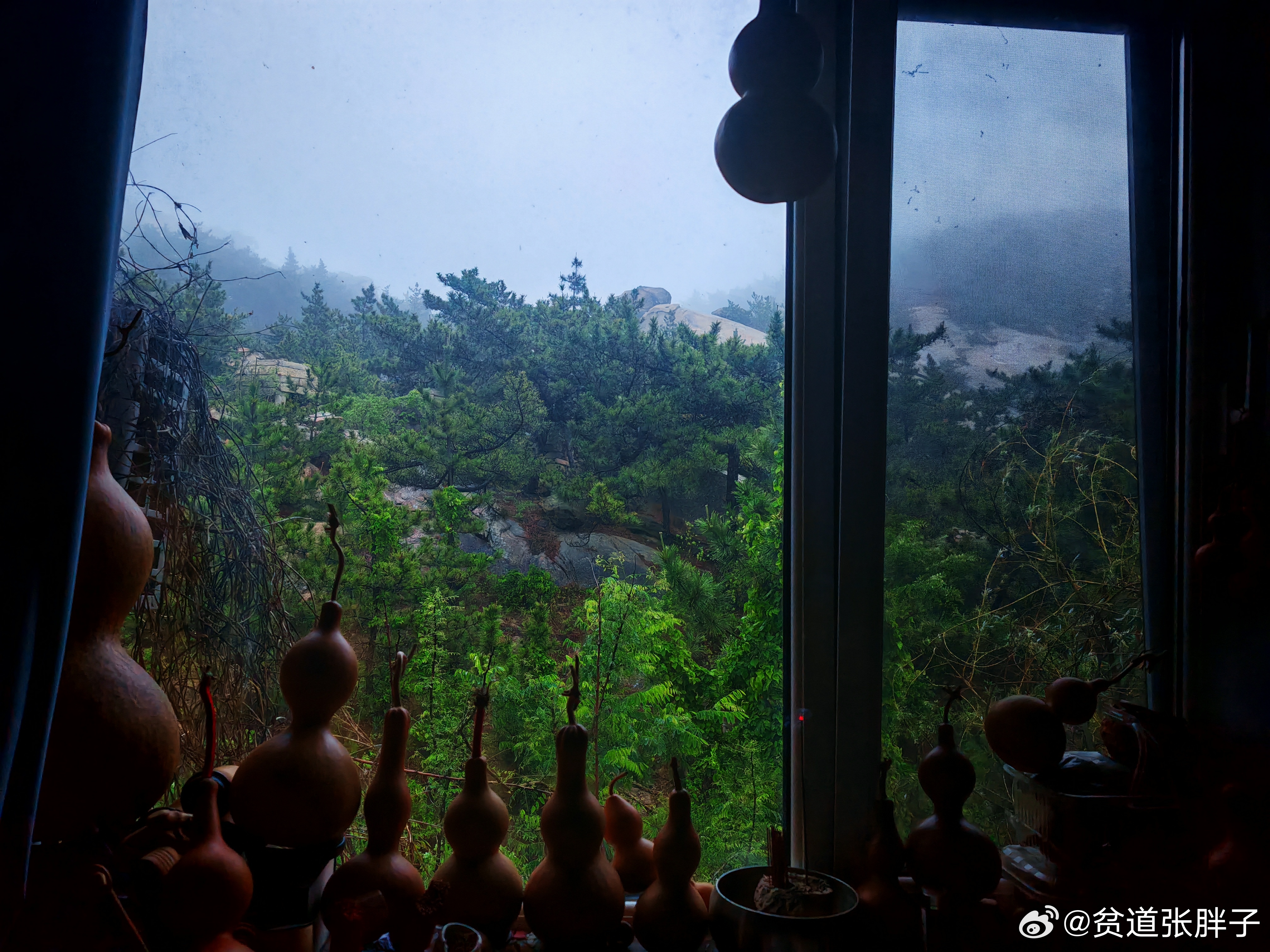 铁槎山房 昨晚下了一夜雨，今早雾气蒸腾