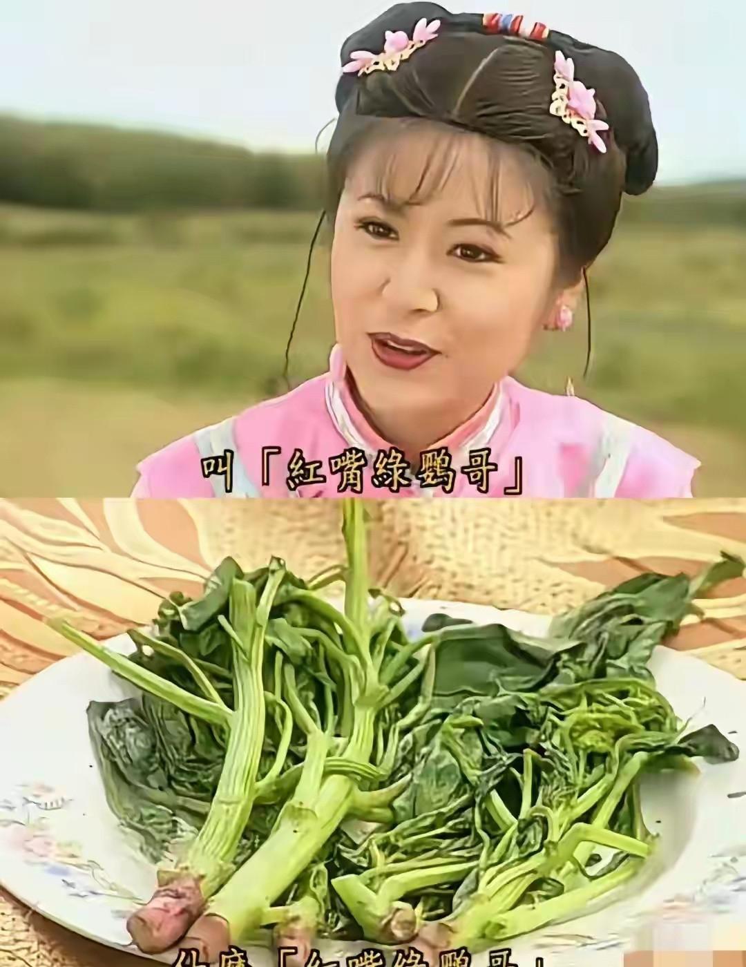 国产剧豆瓣均分从8掉到6.2，不是剧变烂了，是观众变难哄。
以前爸妈追狗血婆媳