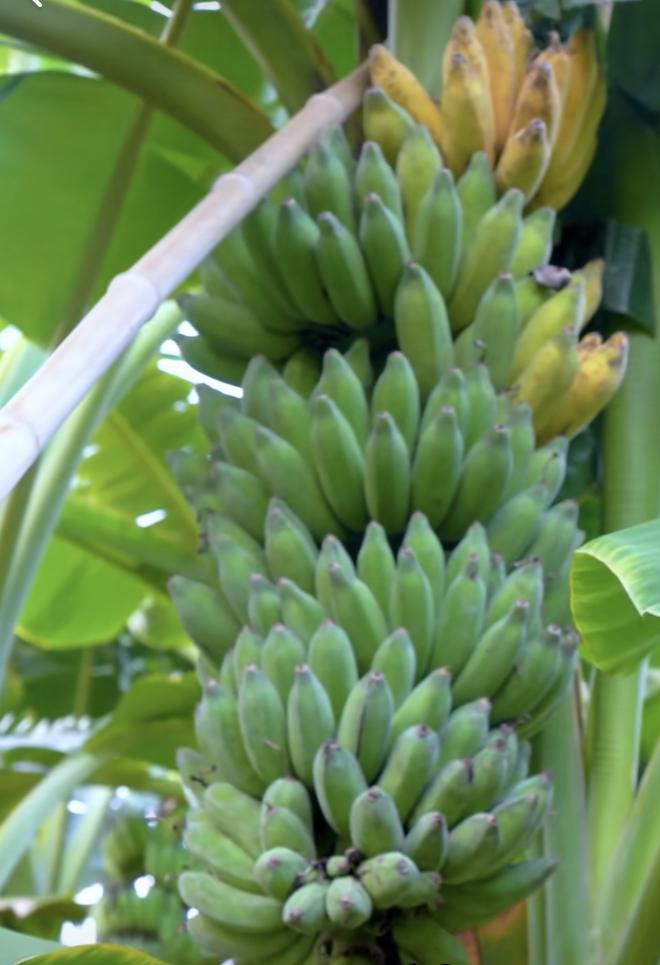 一个词语表示你经常看徐三娃的视频
..
..
我先来
那就是均致！

这个大概是