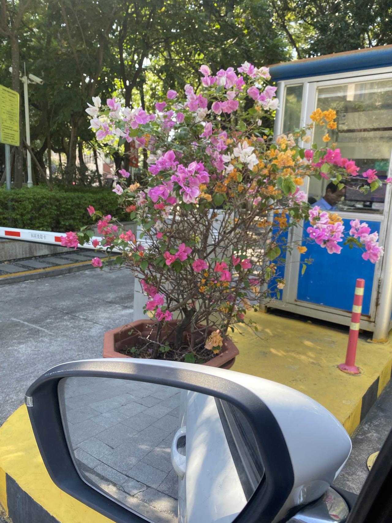 外卖小哥讨厌的、网约车司机讨厌的、网购服装商家讨厌的居然是同一个群体，这个群体的