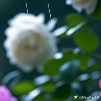 每日一善阳光信用 善是一种自然的流露，没有一点造作，没有一点企求，像水一样一往无
