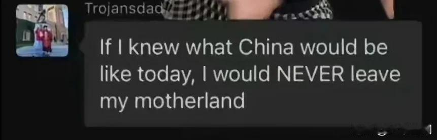 华人在群里称如果当初知道中国会变成今天这个样子，它当初就不会离开我的祖国了！
其
