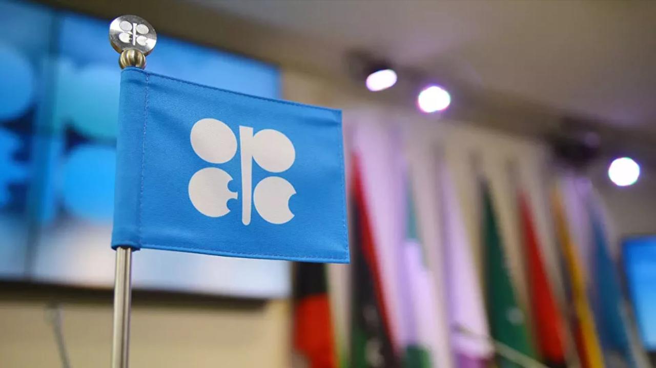 阿联酋为何退出欧佩克？

5月1日起，阿联酋将正式退出欧佩克及欧佩克+联盟，这一