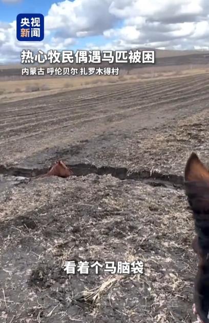 5月3日，央视新闻报道了内蒙古呼伦贝尔扎罗木得村，一匹怀孕母马陷入冲沟，被热心牧